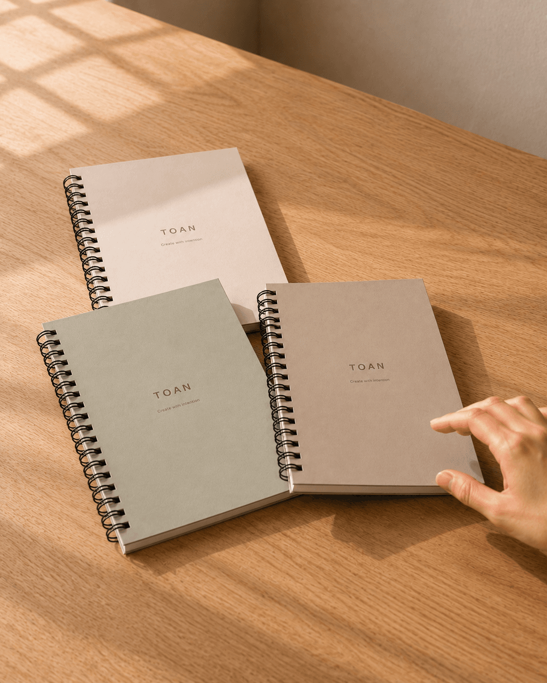 The decision — a hand reaching toward the TOAN planner